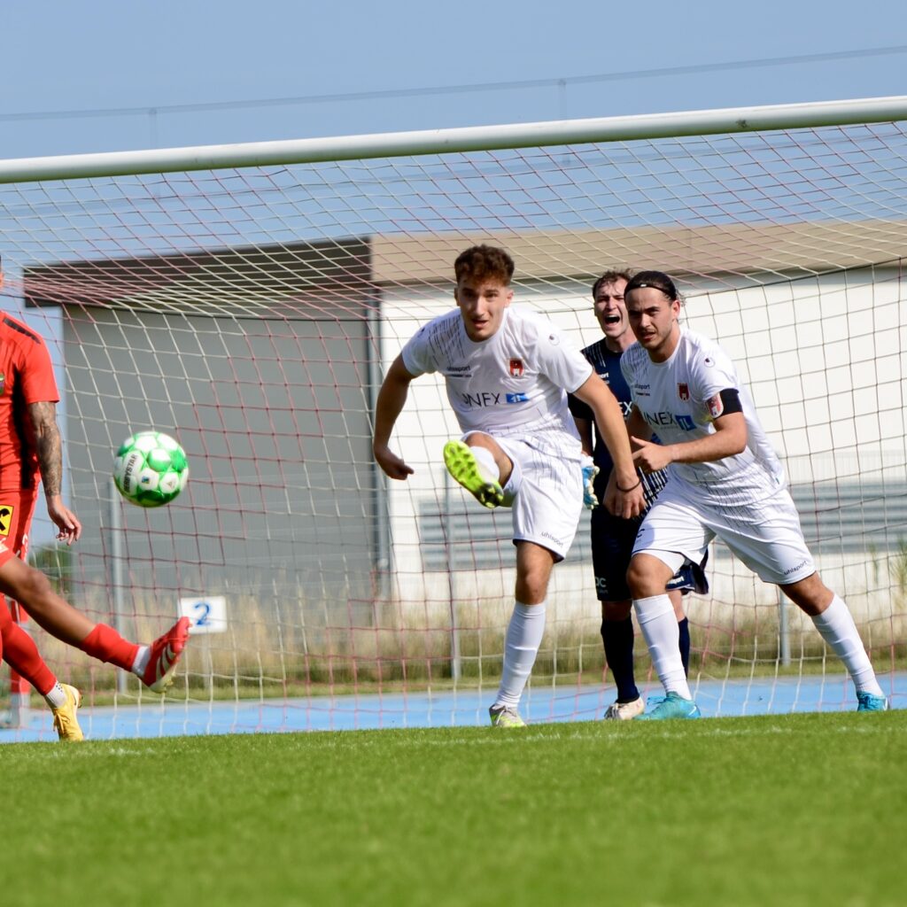 Meisterschaft 2025/26 Parndorf/Neudorf