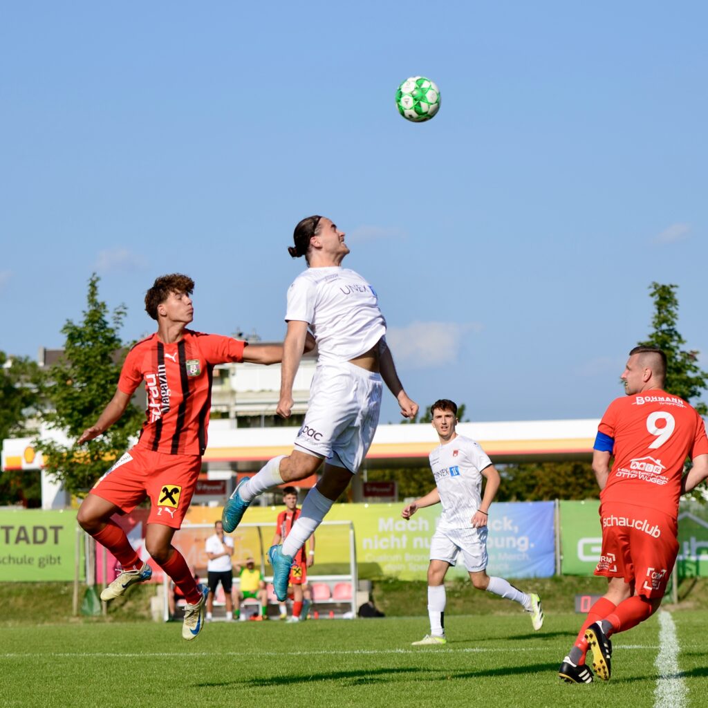 Meisterschaft 2025/26 Parndorf/Neudorf